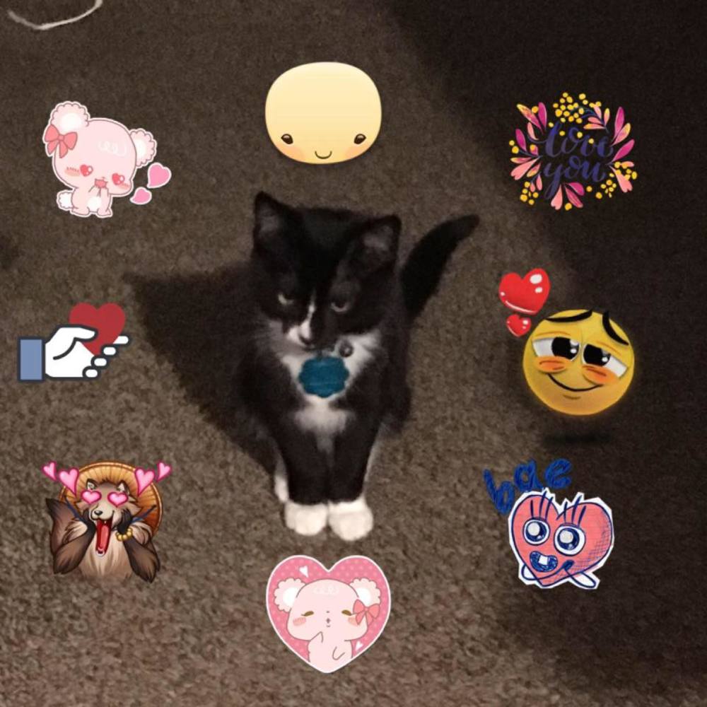 Meet your Posher, Leilani